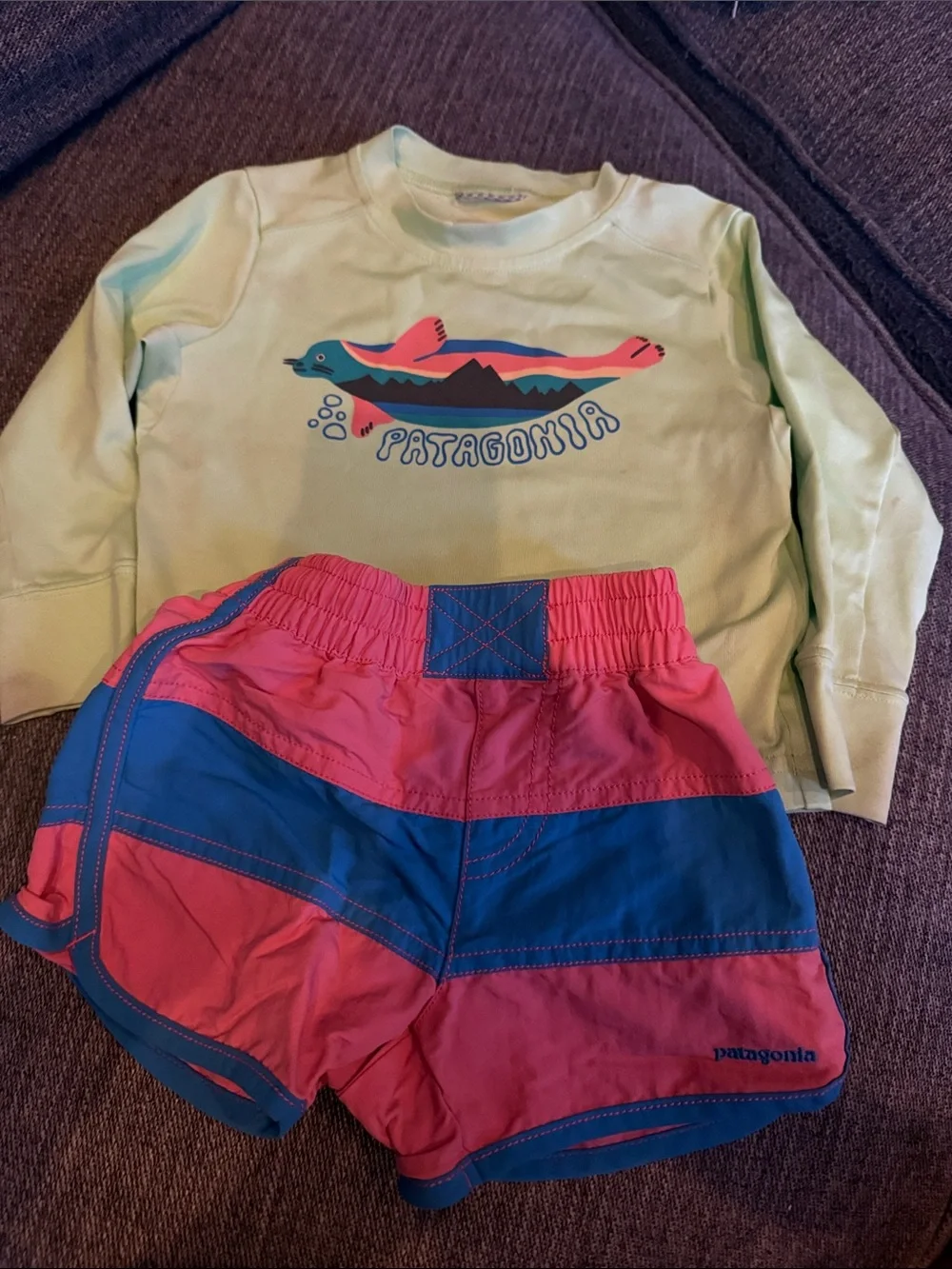 Patagonia Swimshirt with Pink & Blue Stripe Shorts